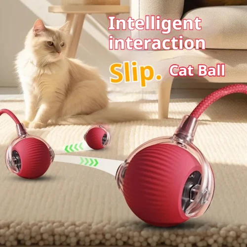 Interactive, rechargeable toy