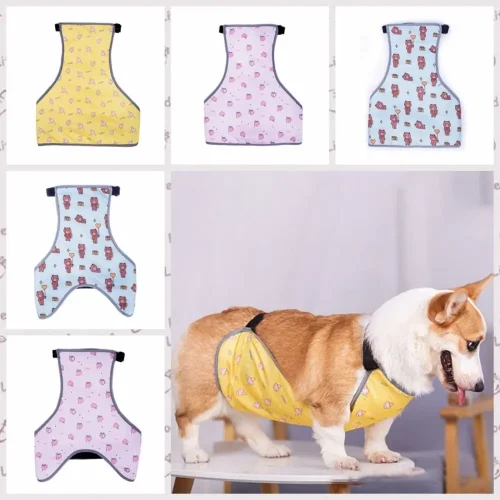 Belly Protection/Sterilization Suit for Dogs, Cats