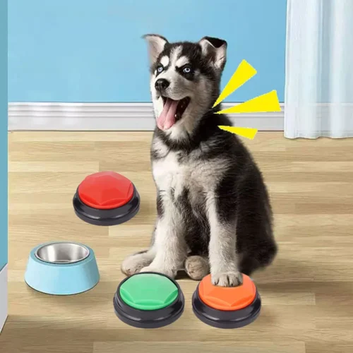 Recordable Pet Interactive Toys