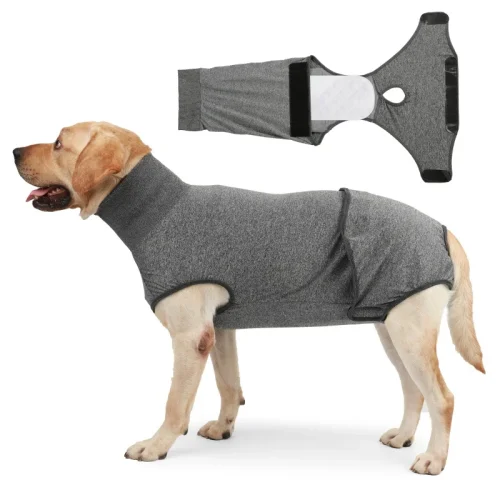 Jumpsuit With Small to Medium Female Dog Panties